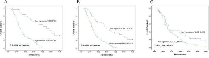 Prognostic significance of HOTTIP-005, XLOC_006390, and RP11-567G11.1 expression.