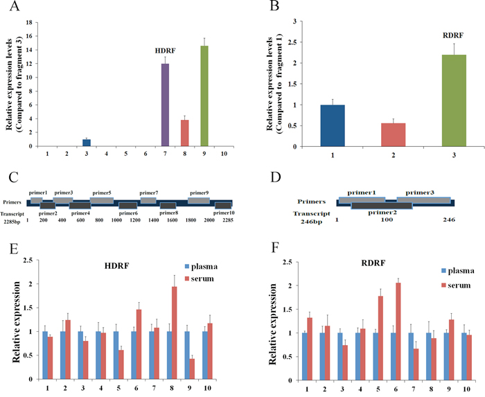 General characterization of plasma/serum lncRNA fragments.