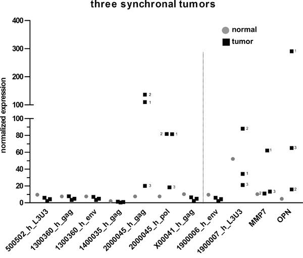 Comparison of HERV-H expression in three synchronal tumors.