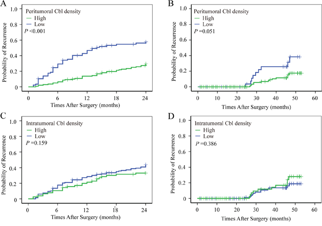 The prognostic value of peritumoral Cbl for early recurrence.