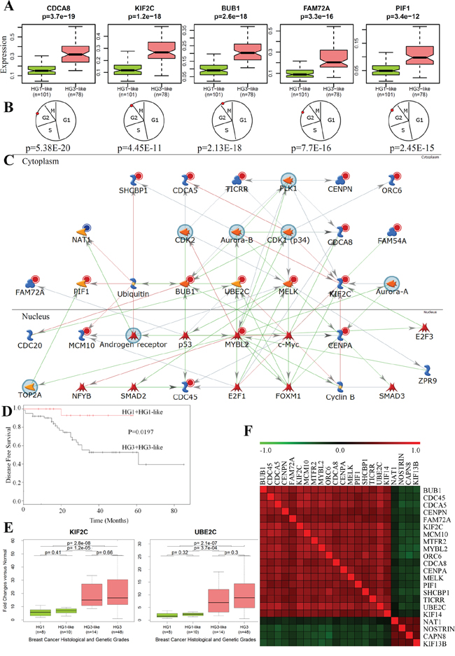 Functional and network analyses of 22g-TAG signature.