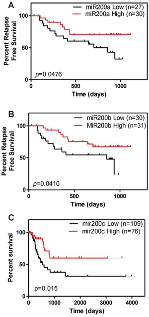 miR200 downregulation associates with poor clinical outcome in BC.