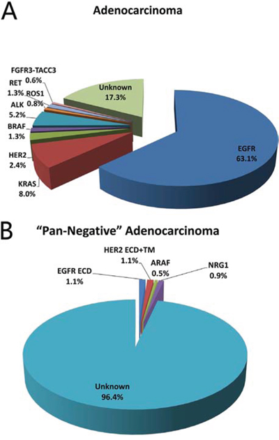 Frequency of driver mutations in lung adenocarcinoma