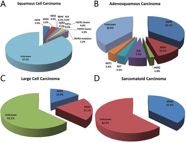 Frequency of driver mutations in lung squamous cell carcinoma