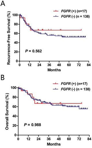 Recurrence-free survival