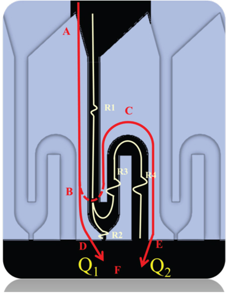 Microchannel composed of by-pass channels and trapping channels with a hydrodynamic trapping site along the trapping channel.