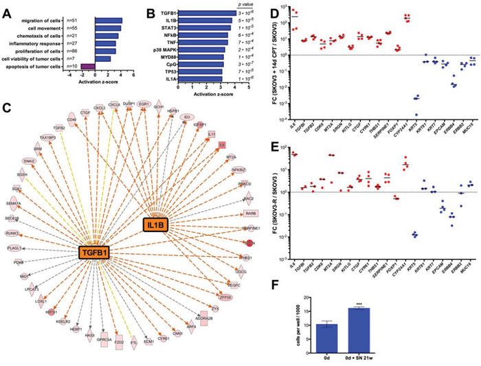 Transcriptome of SKOV3-R cells.