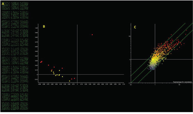 Microarray analysis of microRNA expression in paternal spermatozoa.