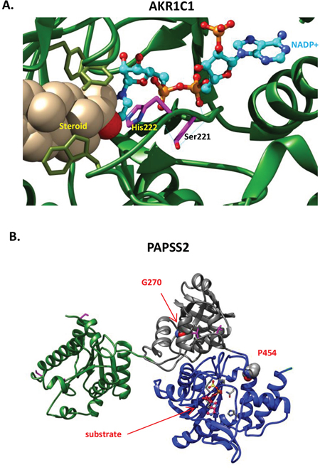 Functional defects associated with novel missense variants.