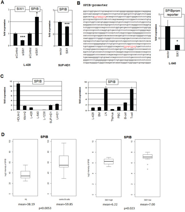 SIX1 inhibits SPIB expression in HL.