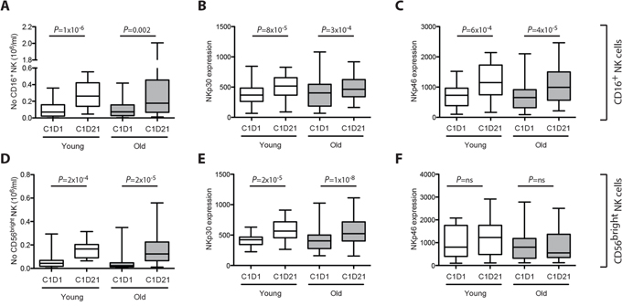 Induction and activation of NK cells in patients below and above 60 years of age.