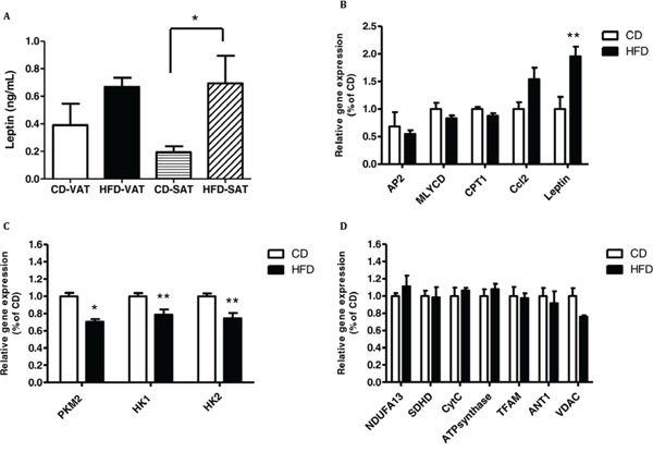 Co-culturing of MC38 cells with visceral adipose tissue (VAT) of high-fat diet (HFD)-fed mice increases the expression of leptin and decreases the expression of the glycolytic genes.
