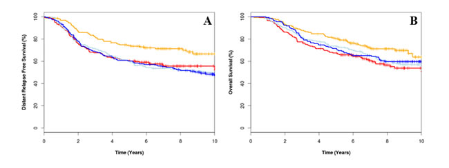 Kaplan-Meier survival curves for epirubicin plus cyclophosphamide, methotrexate and fluorouracil (E-CMF) treated low CIN25 (orange), E-CMF high CIN25 (red), CMF treated low CIN25 (light blue), and CMF high CIN25 (dark blue) for distant relapse free survival (A) overall survival (B)