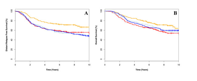 Kaplan-Meier survival curve for low CIN4 score treated with epirubicin plus cyclophosphamide, methotrexate and fluorouracil (E-CMF) (orange line), high CIN4 score treated with E-CMF (red line), low CIN4 score treated with CMF (light blue line) and high CIN4 score treated with CMF (dark blue line) for distant relapse free survival for overall survival (A) and distant relapse free survival (B).