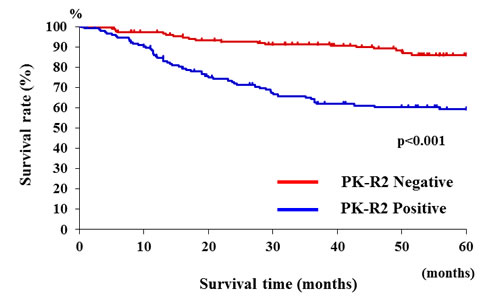 Relationship between PK-R2 expression and survival rates in all human colorectal cancer patients.