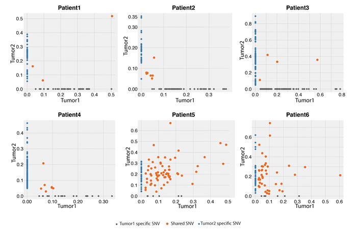 Variant frequency (VAF) distribution of identified SNVs between the first and second tumors from the six pairs of tumors in the exome-sequencing screen.