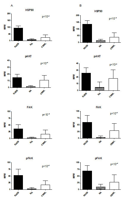 Level of HSP90, pAKT, FAK and pFAK expression according to MDS subgroups.