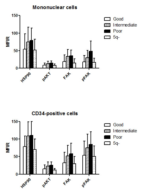 Level of HSP90, pAKT, FAK and pFAK expression according to cytogenetic subgroup.