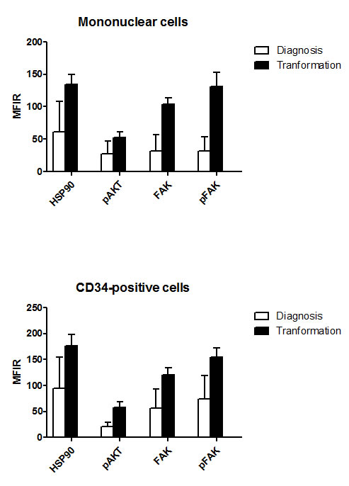 Comparative levels of HSP90, pAKT, FAK and pFAK expression at diagnosis and after transformation into acute leukemia, in MNC and CD34+ cells.