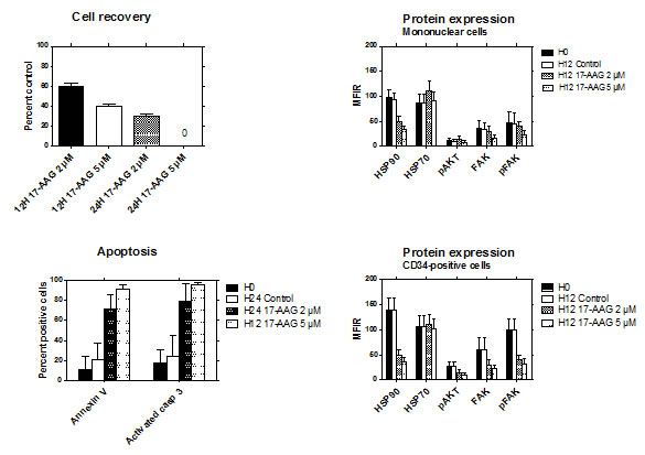 Effects of HSP90 inhibition with 17-AAG.
