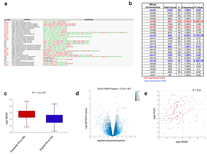 Comparative gene expression analysis identifies specific pathways aberrantly regulated in aneuploid tumors.