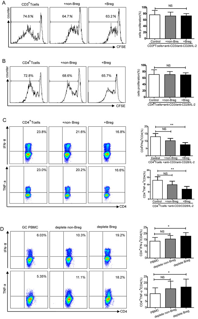 Functional analysis of CD19