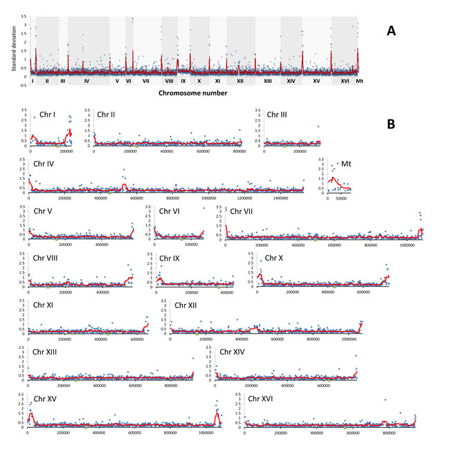 The divergence of relative abundance of genes as determined by array-CGH analysis represented by standard deviation (SD) of log