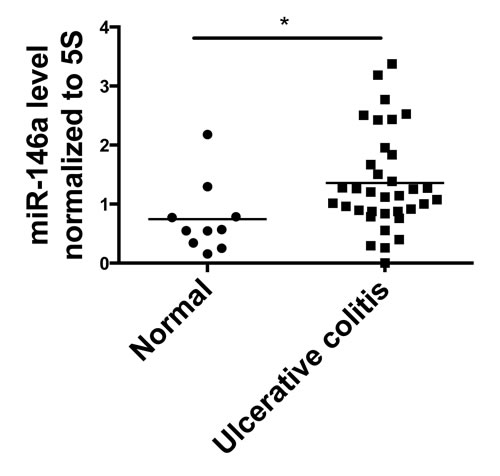 miR-146a expression is elevated in colon tissue from human Ulcerative Colitis (UC) patients.