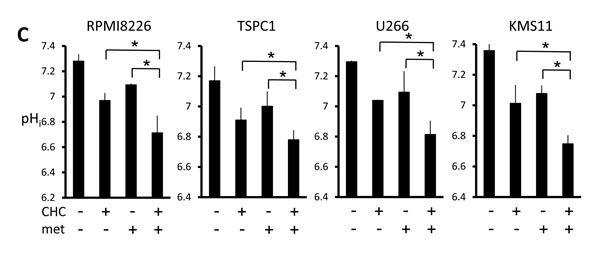 fig2c