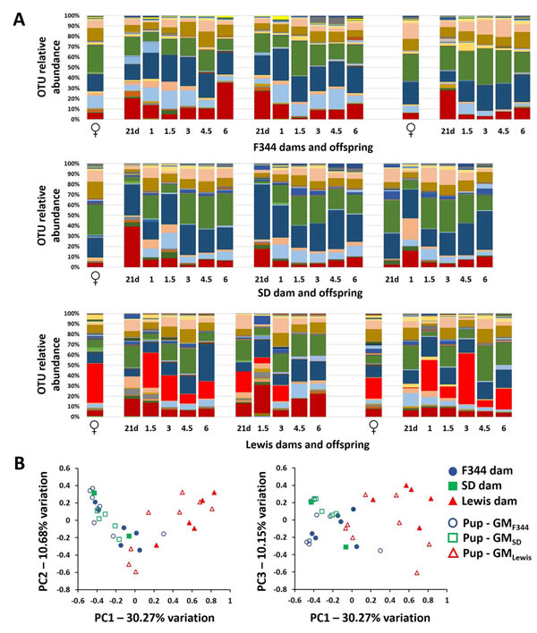 Rederived pups acquire the gut microbiota of their surrogate dam.