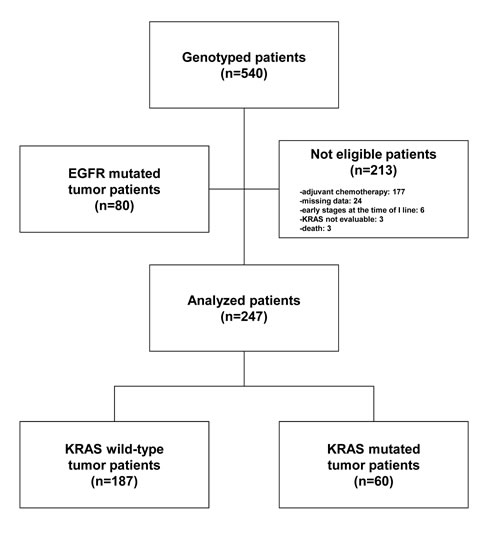 Patient CONSORT diagram