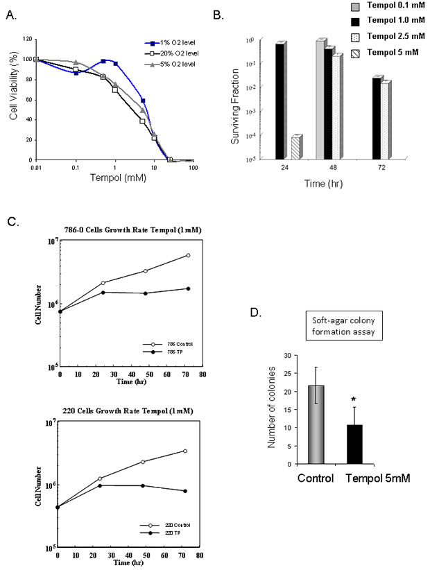 Anti-tumor effect of Tempol in CCRCC.