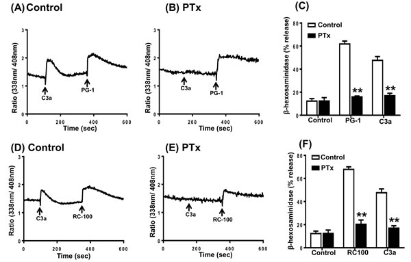 Effects of Pertussis toxin on C3a, PG-1 and RC-100-induced Ca