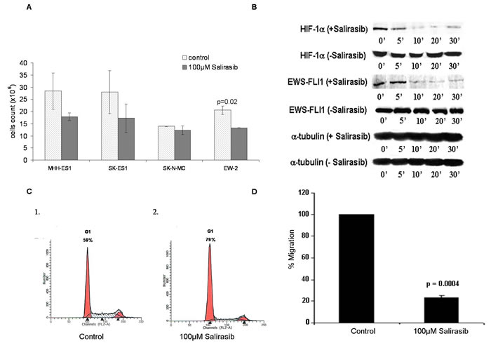 Effect of Salirasib treatment