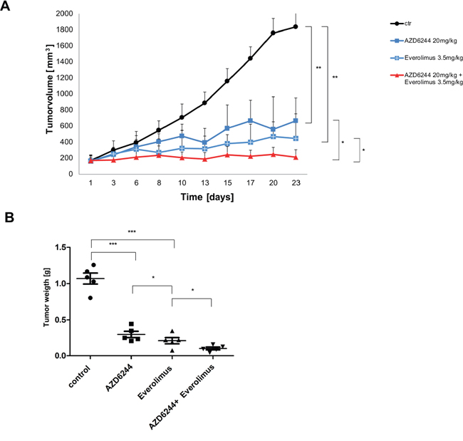 AZD6244 and Everolimus block tumor growth in-vivo as single agents and in combination.