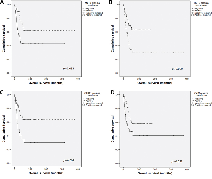 Overall survival curves of adrenocortical carcinomas&#x2019; patients.