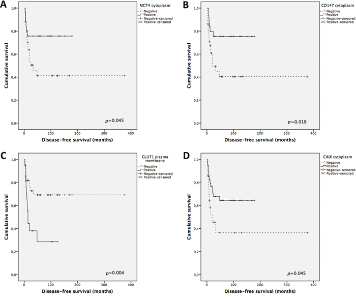 Disease-free survival curves of adrenocortical carcinomas&#x2019; patients.