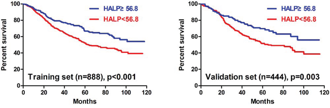 Survival analysis of HALP in the training and the validation sets.