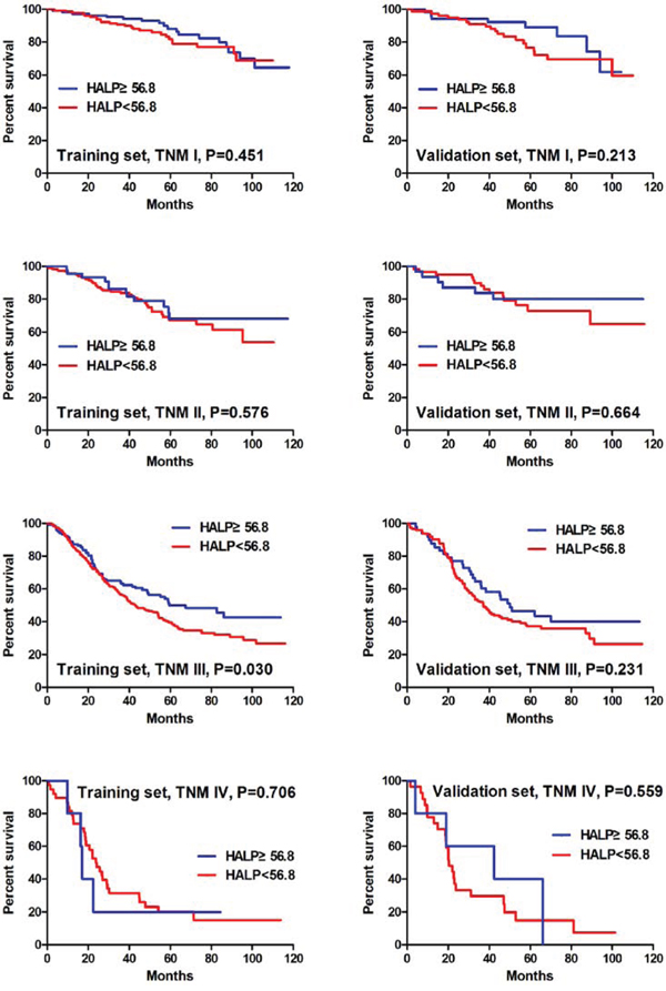 Survival analysis of HALP stratified by TNM stage in the training and the validation sets.