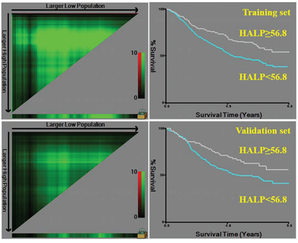 Division of patients into the training and the validation sets based on HALP by X-tile software.