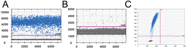 The amplification results of a false-positive sample by ddPCR.