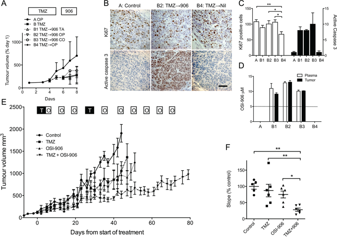 IGF-1R inhibition sensitizes melanoma to TMZ in vivo.