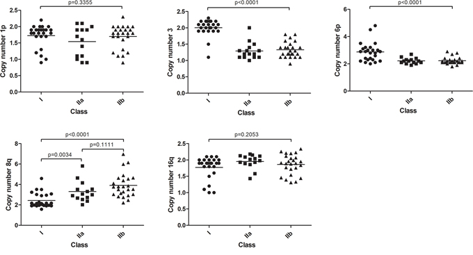 Chromosomal aberrations in expression classes.