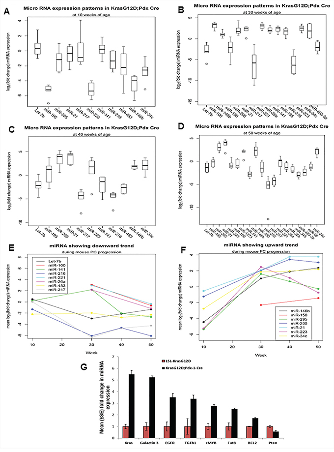 Expression profiles of miRNAs during the mouse PC progression in KrasG12D; Pdx1-Cre mice and their contemporary littermate animals.