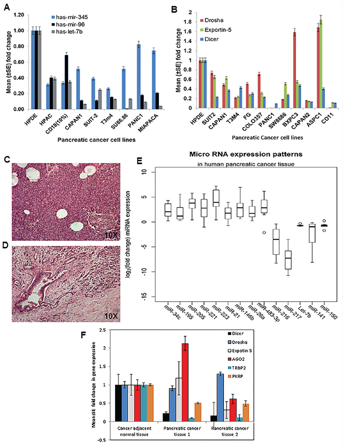 Expression patterns of miRNAs and components of the biosynthetic machinery in human PC tissues and cell lines.