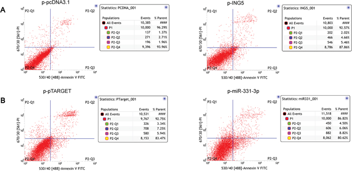 ING5 induces HCC cell apoptosis.