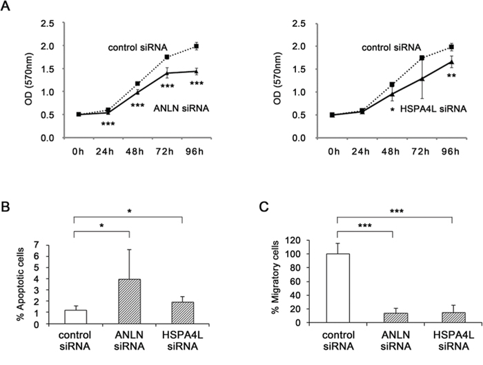 Functional analyses by silencing of ANLN and HSPA4L.