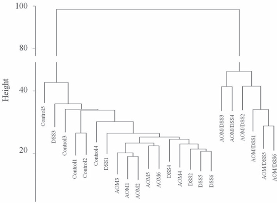 Hierarchical clustering of gene expression data.