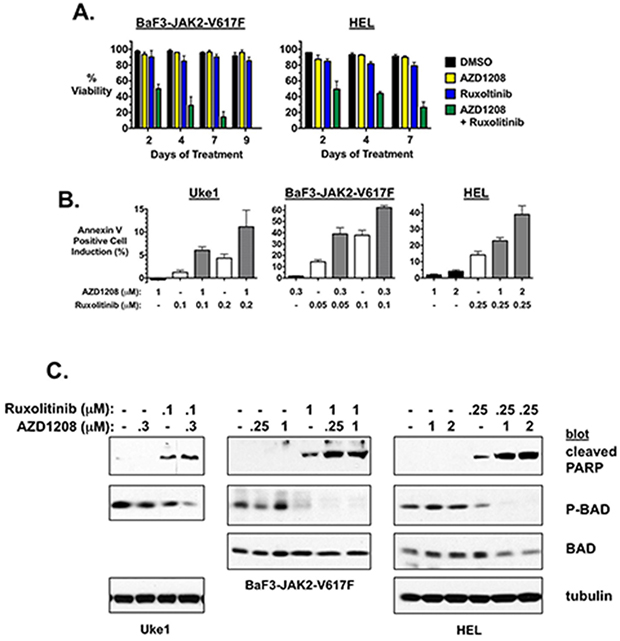 AZD1208 enhances apoptosis induced by ruxolitinib.