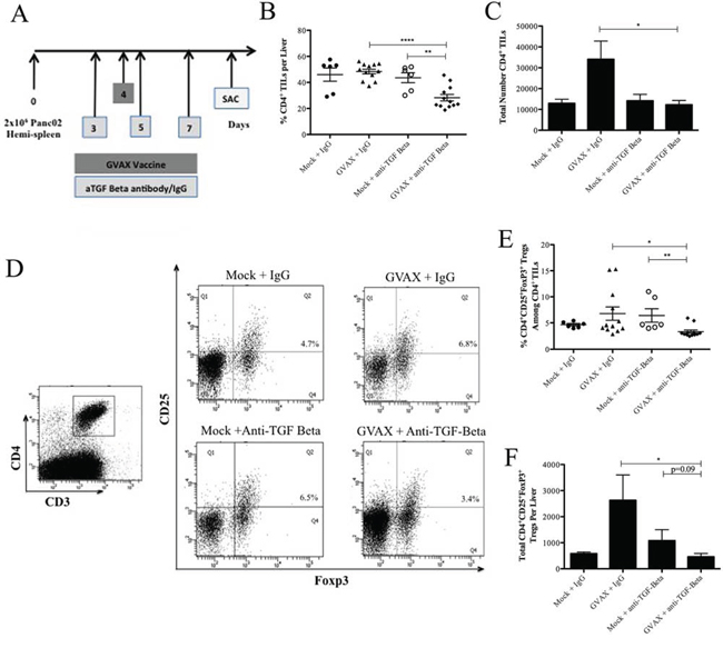 Combination therapy with GVAX and &#x03B1;TGF-&#x03B2; decreases CD4+ T cell presence including Tregs in PDA.